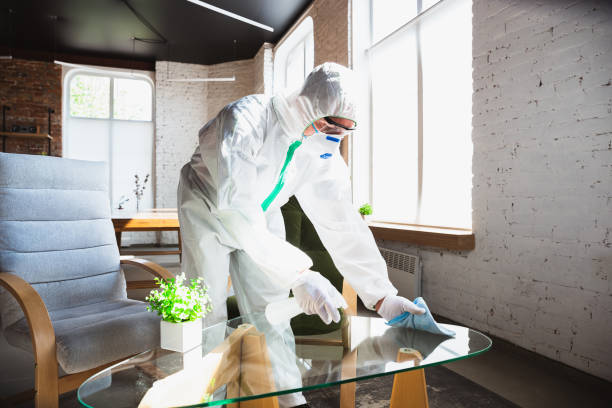 Mold Odor Removal Services in Port Lavaca, TX